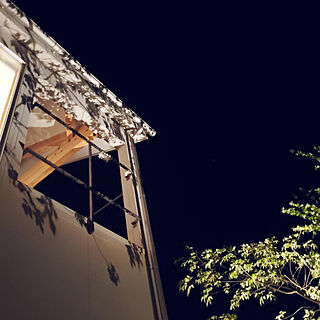 壁/天井/植栽ライトアップ/2階リビング/ウッドデッキ/グレーの家のインテリア実例 - 2020-04-26 03:08:57