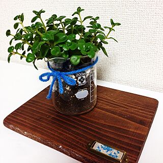 机/植物/DIY/多肉植物のインテリア実例 - 2014-07-11 23:48:45