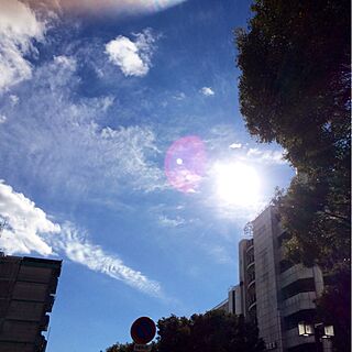 空/青空/太陽/いいお天気♡/お仕事休憩中のインテリア実例 - 2013-12-19 13:48:14