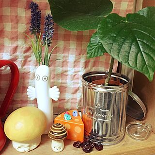 キッチン/花瓶/ニョロニョロ/ムーミン/植物...などのインテリア実例 - 2015-04-13 00:07:17