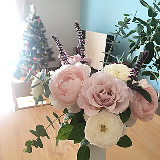 クリスマスツリー/薔薇/花束/植物のある暮らし/マンション暮らし...などのインテリア実例 - 2019-11-12 09:41:04