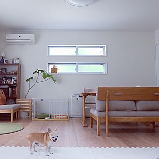 部屋全体/犬と暮らす/IKEA/Dフロア/ウンベラータ...などのインテリア実例 - 2017-06-06 11:10:57