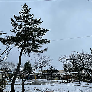 これからポストのサイズなおし/どこも行けない/外は吹雪/吹雪2°/朝晩寒い...などのインテリア実例 - 2020-12-15 14:22:33