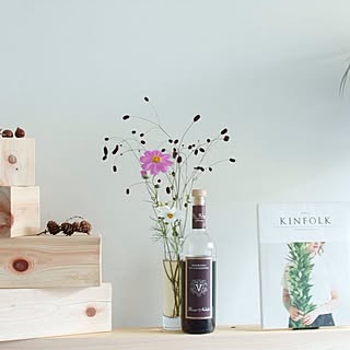 リビング/どんぐり/秋桜/KINFOLK/檜...などのインテリア実例 - 2015-09-26 14:19:03