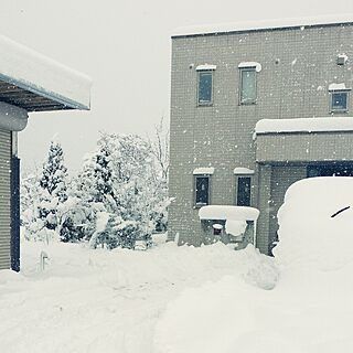 玄関/入り口/大雪/車埋もれてるのインテリア実例 - 2017-01-16 10:56:23