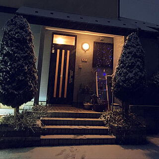 シンボルツリーはグリーンクエスト/クリスマスライトまだそのまま/昨夜の画像/築25年/北玄関の家...などのインテリア実例 - 2021-01-30 08:09:07