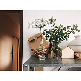 植物のある暮らし/一人暮らし/古い家/セルフリノベーション/IKEA...などのインテリア実例 - 2019-04-27 23:02:26