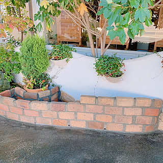 コンクリートの上に花壇のインテリア実例 Roomclip ルームクリップ コンクリートの上に花壇のインテリア実例 Roomclip ルームクリップ