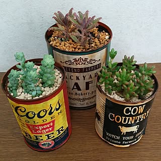 多肉植物/ジャンク/DIY/リメ缶/リメイク缶...などのインテリア実例 - 2016-11-14 18:39:57