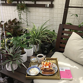 コーヒータイム/観葉植物/ベランダガーデン/お外ごはん/お外でご飯...などのインテリア実例 - 2021-09-16 11:41:39