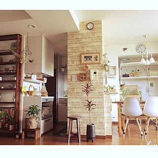 部屋全体/エアプランツ/イームズチェアリプロダクト/グリーン増やし中/IKEAのディスキディア...などのインテリア実例 - 2017-04-20 12:28:27