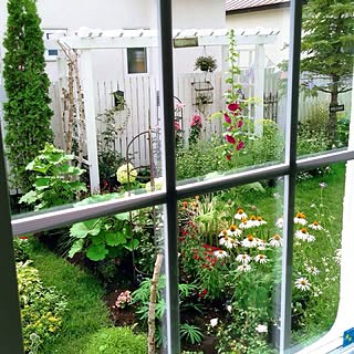 Blogやってません/Gardeningやってます/室内からの外！/庭のインテリア実例 - 2014-08-09 22:40:25