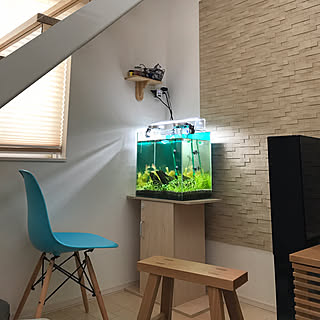 エコカラット Gex水槽台のおしゃれなアレンジ 飾り方のインテリア実例 Roomclip ルームクリップ エコカラット Gex水槽台のおしゃれなアレンジ 飾り方のインテリア実例 Roomclip ルームクリップ