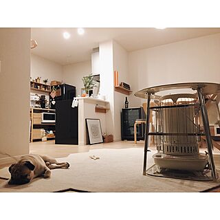 賃貸/Instagram:yui____k/パグ/犬/ストーブガード...などのインテリア実例 - 2017-02-13 19:45:42