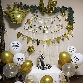 部屋全体/ハイシニア犬/ゴールド×ホワイト/SHEIN/Happy Birthday...などのインテリア実例 - 2023-12-18 11:08:12