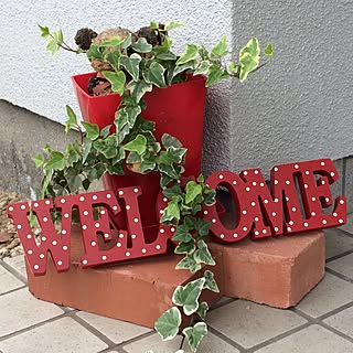 玄関/入り口/観葉植物のある暮らし/観葉植物/かわいい雑貨/レンガブロック...などのインテリア実例 - 2017-07-13 11:24:58