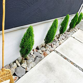 お庭掃除/植物のインテリア実例 - 2016-04-11 14:16:16