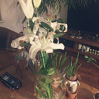 お花を飾る/お花が好き/お花のある暮らし/寄せ植えしました/ノットアンティークスの家具...などのインテリア実例 - 2020-04-17 23:59:32