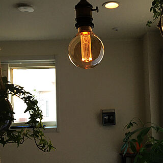 観葉植物/照明/一人暮らし/エジソン電球LED/壁/天井のインテリア実例 - 2020-02-04 02:21:25