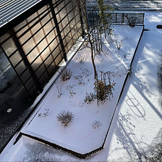 2階の窓から撮りました/時々陽射しがあたる/新雪/雪時々晴れ3℃/風が冷たい...などのインテリア実例 - 2022-01-12 11:44:03
