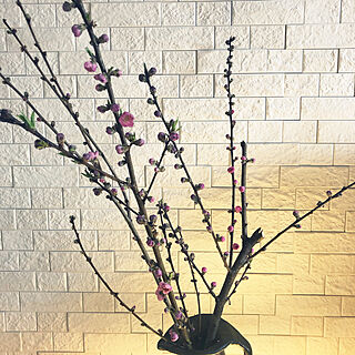 陶芸/手作りした花器/LIXIL/エコカラット DIY/桃の木...などのインテリア実例 - 2021-03-05 12:28:47