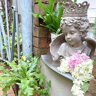 玄関/入り口/花のある暮らし/花のある生活/花のある空間/庭のある暮らし...などのインテリア実例 - 2020-07-12 09:48:48