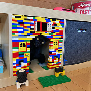 LEGO/DIY/黒猫/再利用/ねこと暮らす...などのインテリア実例 - 2022-01-22 10:41:55
