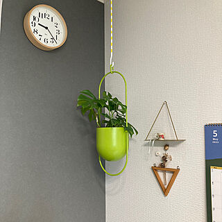 観葉植物/カラフル/韓国インテリア/DIY/IKEA...などのインテリア実例 - 2023-05-06 20:31:57