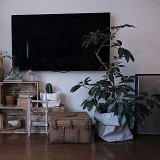 古家具のある暮らし/流木インテリア/IKEA/DIY/テレビボード...などのインテリア実例 - 2021-05-06 19:13:15