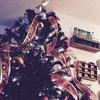 リビング/クリスマスツリー/ダイソーのインテリア実例 - 2014-11-18 19:36:14