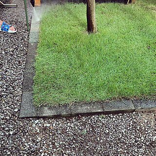 高圧洗浄/庭/南側/カメラマークが出てたので♡/芝生の庭...などのインテリア実例 - 2021-07-26 03:23:09