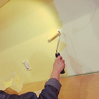 壁/天井/ペンキ塗り/ペイント壁のインテリア実例 - 2016-06-24 23:42:17