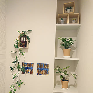 バス/トイレ/ミニ観葉植物/観葉植物のある暮らし/ふくろう/みどりのある暮らしのインテリア実例 - 2020-03-12 14:48:19