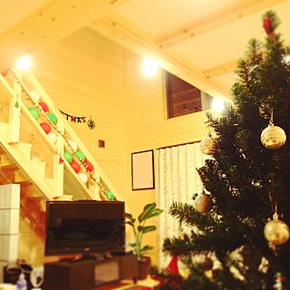 リビング/クリスマス/観葉植物　/クリスマスの飾り付けのインテリア実例 - 2014-12-18 12:49:27