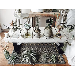 バス/トイレ/観葉植物/Insta→george_xero/ドライフラワー/Brocante...などのインテリア実例 - 2018-03-10 16:19:01