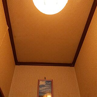 バス/トイレ/ライト照明のインテリア実例 - 2017-06-15 09:13:38