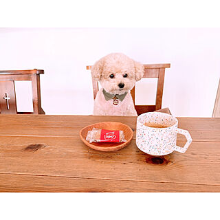 teaさんの実例写真