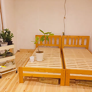 植物のある暮らし/セルフリノベーション/DIY/北欧インテリア/中古住宅...などのインテリア実例 - 2019-08-20 07:58:25