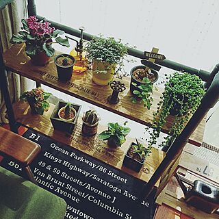 部屋全体/植物/日替わり投稿企画!木曜日/ig→mami.suke0221/男前インテリア...などのインテリア実例 - 2017-05-25 17:47:04