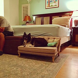 ベッド周り/ベンチ/犬/ペットと暮らす家/ハワイ...などのインテリア実例 - 2017-05-09 11:38:35