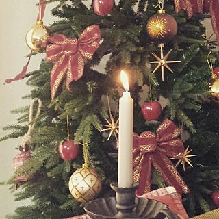 リビング/Ｘｍａｓ/クリスマスツリー/クリスマス/ベツレヘムの星のインテリア実例 - 2014-12-24 23:36:04