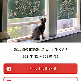 YKK AP 窓/YKK AP/イベントカバー画像/イベントのお知らせ/ねこのいる風景...などのインテリア実例 - 2021-11-12 15:38:44