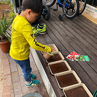 家庭菜園/ウッドデッキ/タネまき/植物のある暮らし/ジフィー...などのインテリア実例 - 2019-04-18 03:02:56