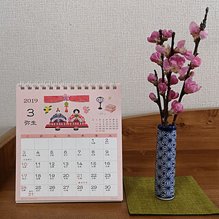 棚/カレンダー/3月/桃の花/季節の花のインテリア実例 - 2019-03-05 13:19:56