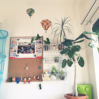 壁/天井/IKEA/無印良品/グリーンのある暮らし/観葉植物...などのインテリア実例 - 2015-12-11 10:46:28