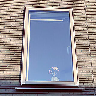 窓/桜の木/サーモスX/壁/天井のインテリア実例 - 2021-03-04 07:37:01