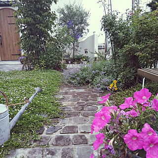 ガーデニング/ガーデン/オリーブの木/シャビーな雰囲気が好き/パリの花屋さんに憧れる...などのインテリア実例 - 2018-06-19 20:21:44