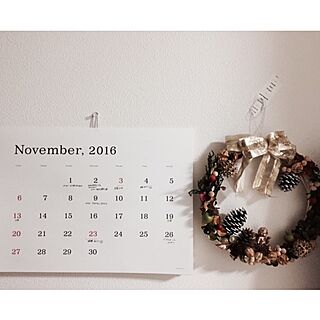 壁/天井/カレンダーのインテリア実例 - 2016-11-14 21:27:43