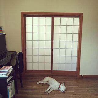 リビング/和紙では無くて 布を貼っています/リビング続きの和室/オークの床/犬に障子紙破られるので、布を貼りましたのインテリア実例 - 2017-03-04 11:46:56