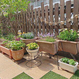 庭DIY/手作りの庭/北向きの庭/コレ、DIYしたよ！/みどりのある暮らし...などのインテリア実例 - 2021-05-16 17:20:55